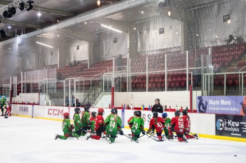 Deeside Dragons Ice Hockey Team