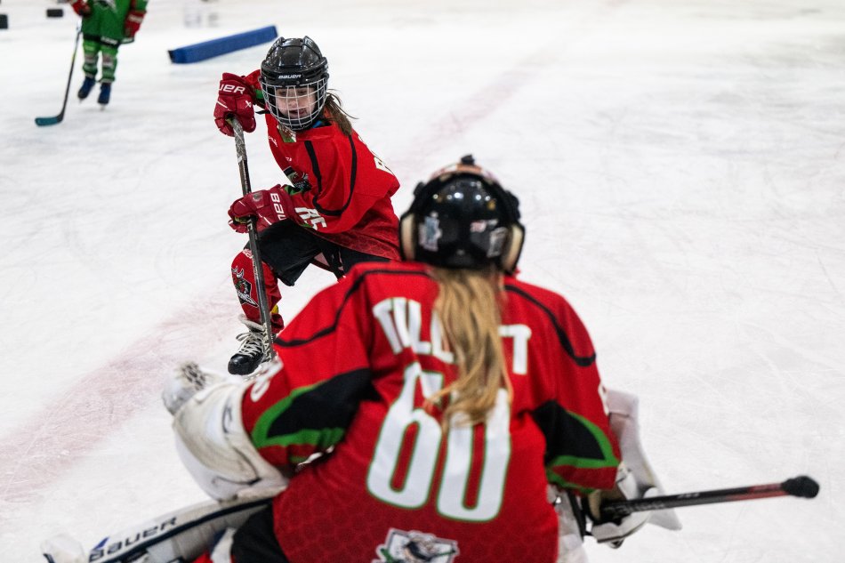 View from behind the goalie as a player attempts to score.