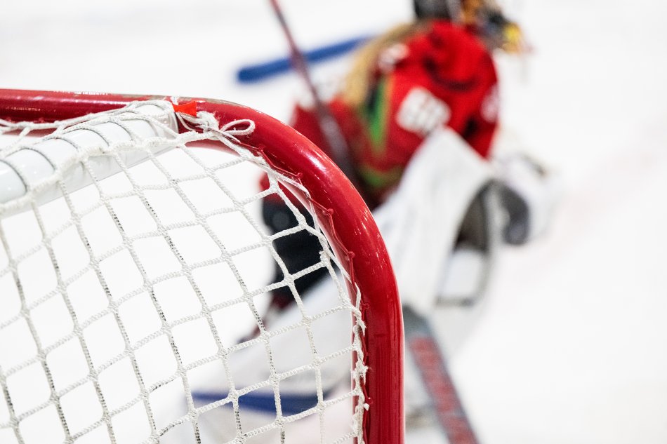 Ice hockey net.